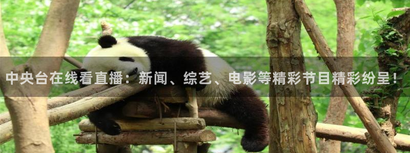 24直播网篮球免费直播：中央台在线看直播：新闻、综艺、电影等精彩节目精彩纷呈！