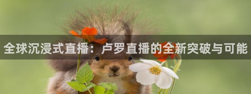 足球比赛直播24直播网：全球沉浸式直播：卢罗直播的全新突破与可能
