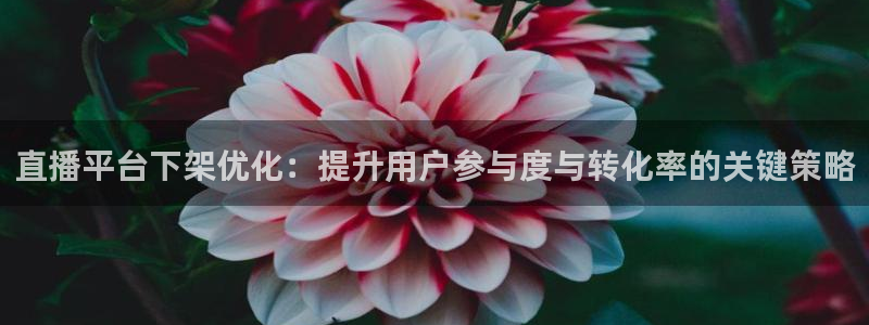 nba直播免费观看直播在线24直播网：直播平台下架优化：提升用户参与度与转化率的关键策略