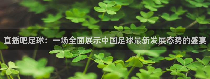 24直播网体育下载：直播吧足球：一场全面展示中国足球最新发展态势的盛宴
