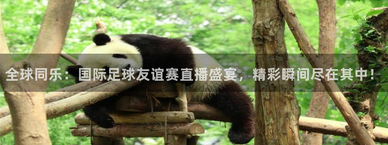 24直播足球在线直播