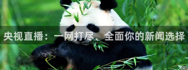 24直播免费足球直播高清：央视直播：一网打尽、全面你的新闻选择