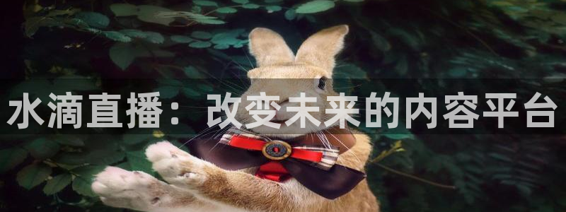 24直播免费足球直播178：水滴直播：改变未来的内容平台