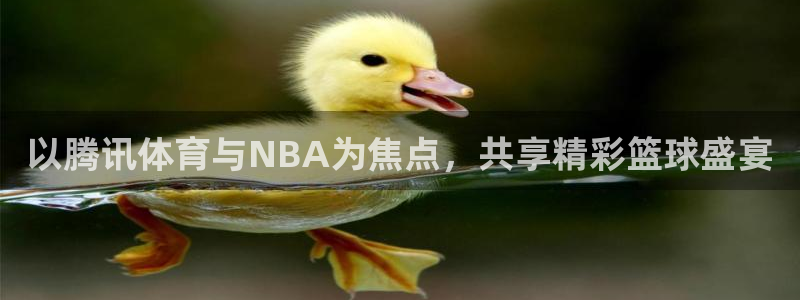 24直播网nba直播：以腾讯体育与NBA为焦点，共享精彩篮球盛宴
