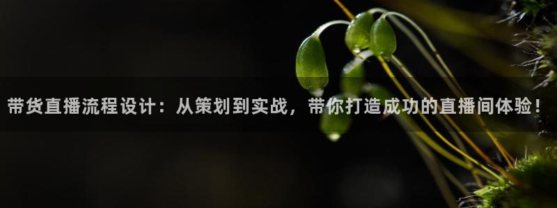 24直播网app