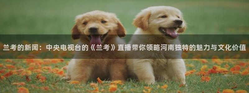 24直播足球在线直播：兰考的新闻：中央电视台的《兰考》直播带你领略河南独特的魅力与文化价值