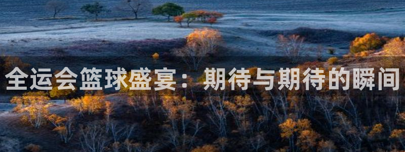 24直播体育在线看：全运会篮球盛宴：期待与期待的瞬间