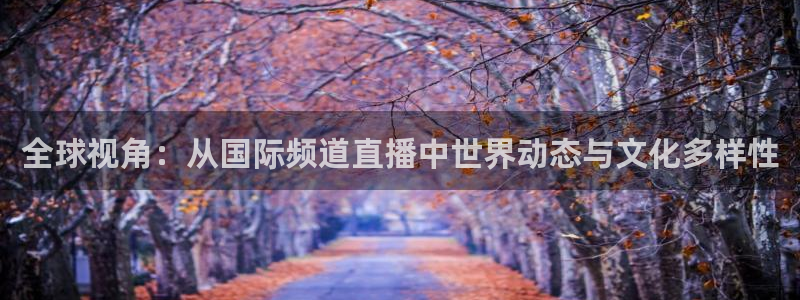 足球24直播：全球视角：从国际频道直播中世界动态与文化多样性