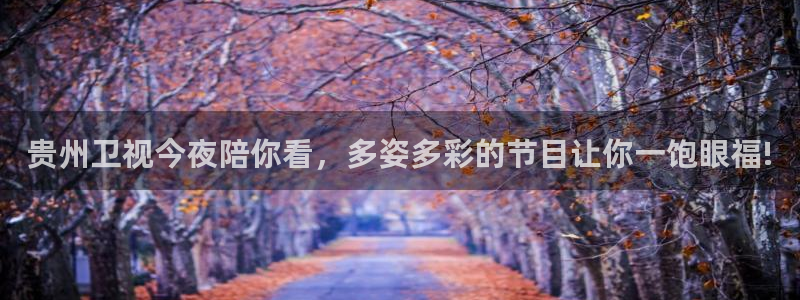 24直播网看球：贵州卫视今夜陪你看，多姿多彩的节目让你一饱眼福!