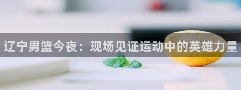 24直播我：辽宁男篮今夜：现场见证运动中的英雄力量