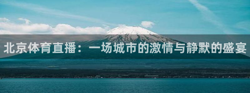 nba直播免费24直播网：北京体育直播：一场城市的激情与静默的盛宴
